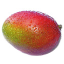 African Mango