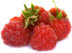 Raspberry Ketone